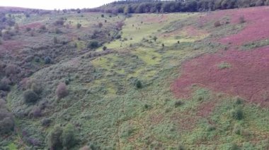 Crowcombe Taunton Village, İngiltere - 14 Mart 2023: İngiltere Kırsal Arazi