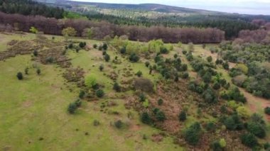 Crowcombe Taunton Village, İngiltere - 14 Mart 2023: İngiltere Kırsal Arazi