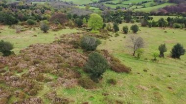 Crowcombe Taunton Village, İngiltere - 14 Mart 2023: İngiltere Kırsal Arazi