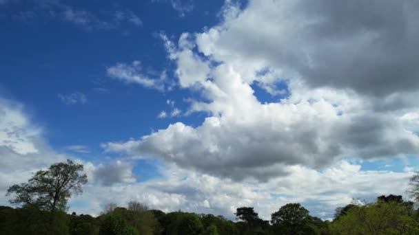 Luton Ngiltere Birleşik Krallık Mayıs 2023 Wardown Halk Parkı — Stok video