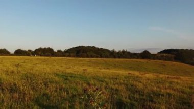 Streatley Vadisi, İngiltere, Birleşik Krallık - 23 Ağustos 2021: İngiltere Kırsal Arazi