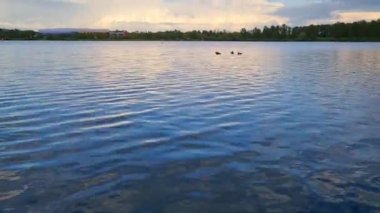 İngiltere, İngiltere - 11 Mayıs 2023: Willen Lake Park 'ın güzel manzarası 