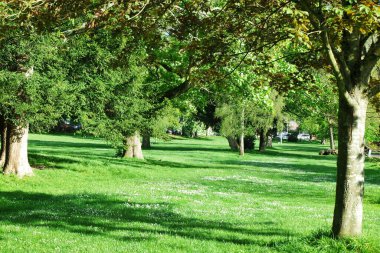 Luton, İngiltere, Birleşik Krallık - 2 Ekim 2022: İlkbaharda Wardown Halk Parkı