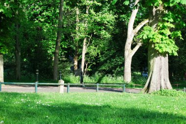 Luton, İngiltere, Birleşik Krallık - 2 Ekim 2022: İlkbaharda Wardown Halk Parkı