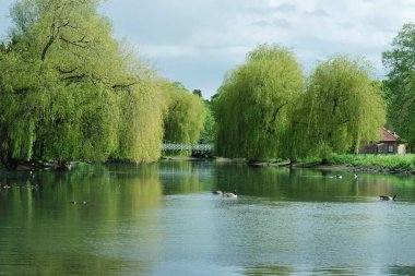 Luton, İngiltere, Birleşik Krallık - 2 Ekim 2022: İlkbaharda Wardown Halk Parkı