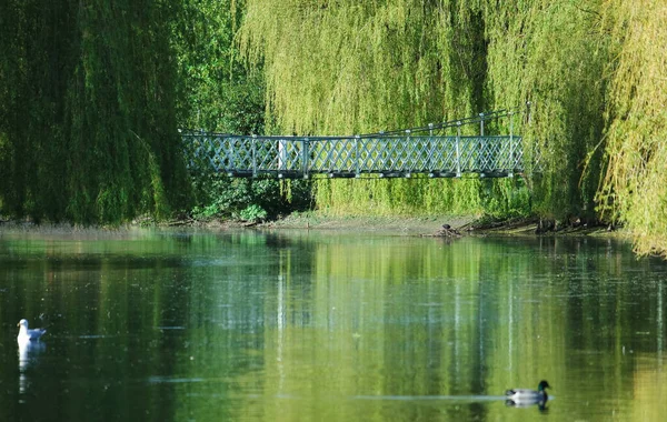 Luton Anglia Wielka Brytania Października 2022 Wardown Public Park Wiosną — Zdjęcie stockowe