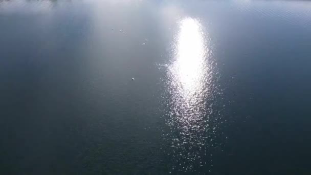 Schöne Aufnahmen Vom Wille Lake Von Milton Keynes City England — Stockvideo