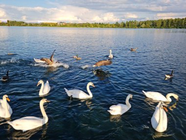 Milton Keynes, İngiltere - 11 Mayıs 2023: Willen Lake Park manzaralı. Willen Lake, Milton Keynes, Buckinghamshire 'da bulunan bir ziyaretçi merkezi.