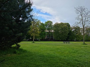  Parkta Ağaçlar ve Gökyüzü