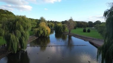 Güzel ve şirin su kuşları İngiltere 'nin yerel halk parkının suyunda yüzüyorlar.