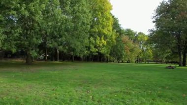 İngiltere 'nin Luton kasabasındaki yerel halk parkının yüksek açılı görüntüleri..