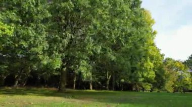 İngiltere 'nin Luton kasabasındaki yerel halk parkının yüksek açılı görüntüleri..