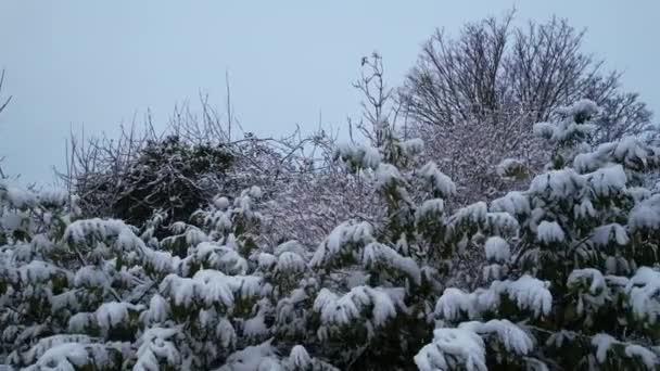 冰雪覆盖景观与城市景观的高角景观 英国卢顿市降雪后的空中拍摄 2022年冬季的第一场降雪 — 图库视频影像