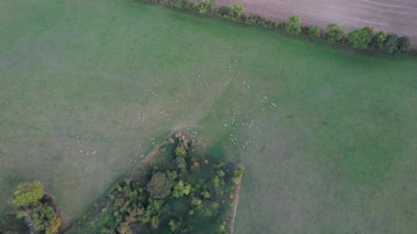 英国の田舎の最も美しい風景の最高の空中ビュー英国 — ストック動画