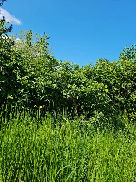 Caldecotte Gölü Parkı, Milton Keynes, İngiltere, Birleşik Krallık