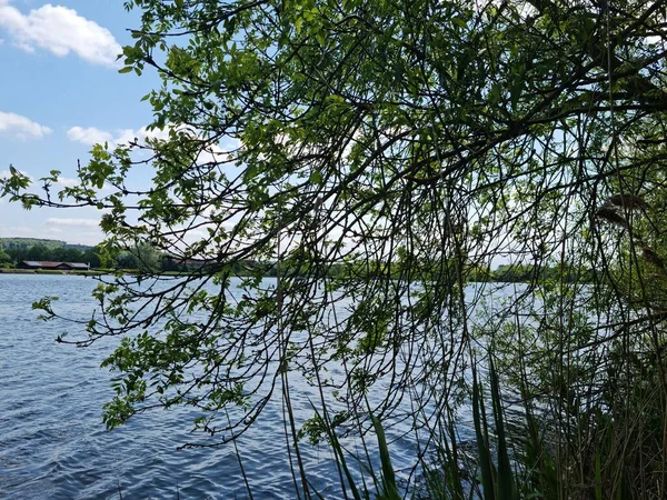 Caldecotte Gölü Parkı Milton Keynes Ngiltere Birleşik Krallık — Stok fotoğraf