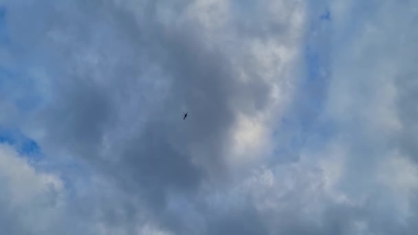 Pássaro Voando Céu Nublado Visão Diurna — Vídeo de Stock
