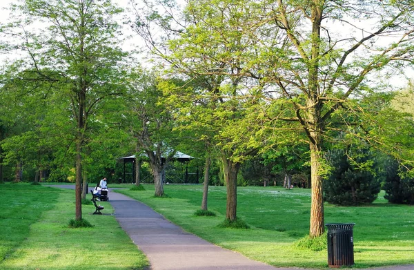 İngiltere, Birleşik Krallık - 25 Mayıs 2023: Park Halkı