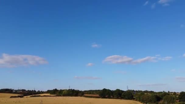 ダンスタブル ベッドフォードシャー イングランドの英国羊牧場の空中映像 ドローンの高角度映像 — ストック動画