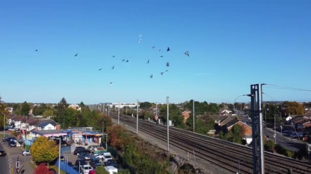 Luton Kasabasının Üzerinde Uçan Kuşların Yavaş Çekim Görüntüleri Ngiltere — Stok video
