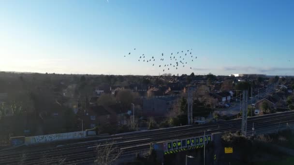 Birds Flying Luton Town Inglaterra — Vídeos de Stock