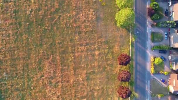 Воздушный Вид Барнфилдский Колледж Высшего Образования Бартон Роуд Лутон Англия — стоковое видео