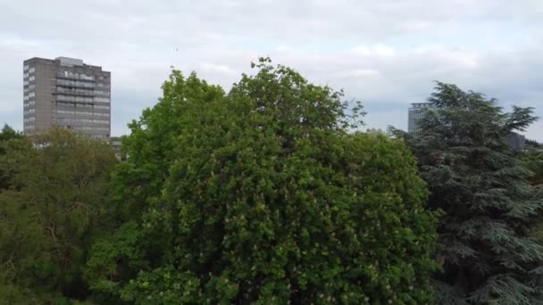 Anglia Központi Bedford Városának Légi Felvételei Belvárosi Felvételeket Drón Kamerájával — Stock videók