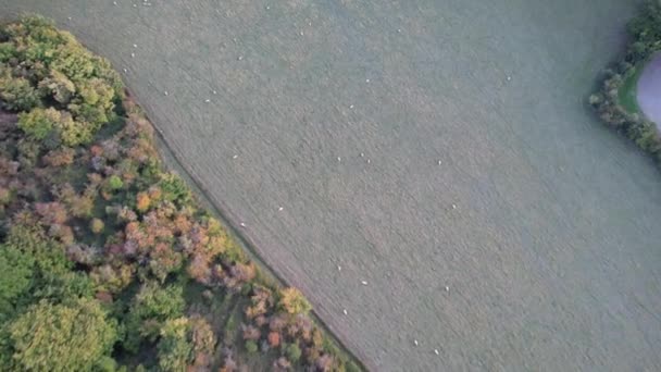 High Angle Footage British Countryside Landscape Фильм Снят Камерой Дрона — стоковое видео
