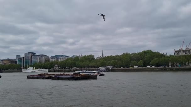 Belles Images Faible Angle Central London Tour Footage Capitale Londres — Video
