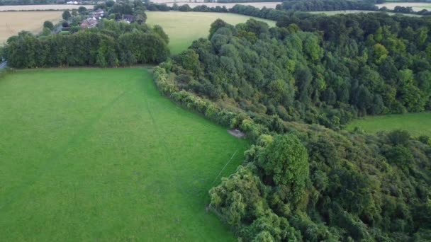 Záběry Dronova Letu Otevřeném Poli Sharpenhoe Clappers Valley England Během — Stock video