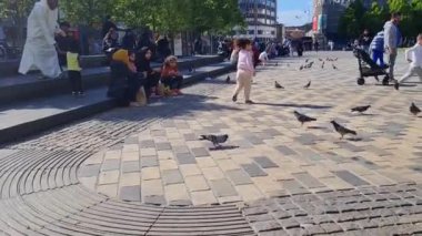 Luton, İngiltere, İngiltere - 7 Mayıs 2023: Luton Şehir Merkezi 'ndeki kuşlar 