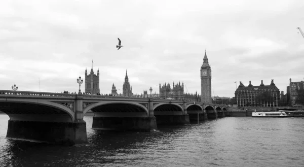 2023年5月30日 伦敦市中心泰晤士河景 — 图库照片