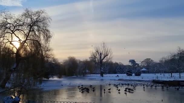 Letecké Záběry Snow Covered Wardown Park Luton Town England Snow — Stock video
