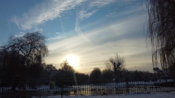 Повітряні Кадри Snow Covered Wardown Park Лутон Таун Англія Після — стокове відео