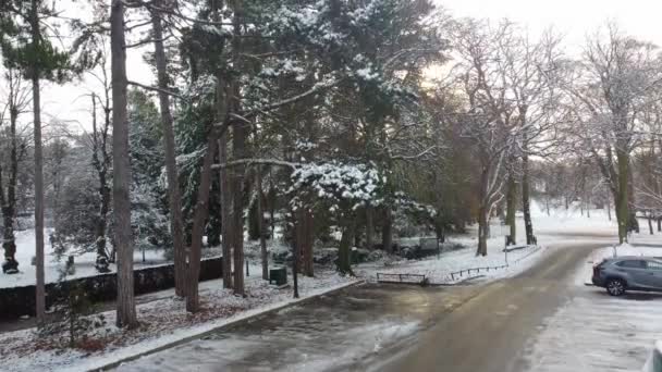 Riprese Aeree Snow Covered Wardown Park Luton Town Inghilterra Dopo — Video Stock