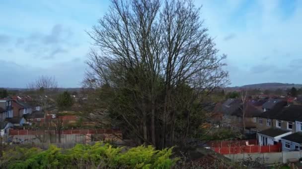 Zamknij Nagranie Drona Drzew Gałęzi Wietrzny Poranek Anglii — Wideo stockowe