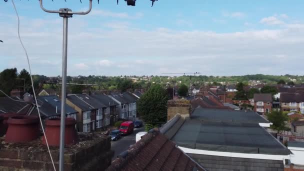 Ngiltere Nin Luton Kasabasında Şirin Güvercinler — Stok video