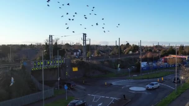Troupeau Oiseaux Nourrit Vole Dans Parking Public Local Séquence Réalisée — Video