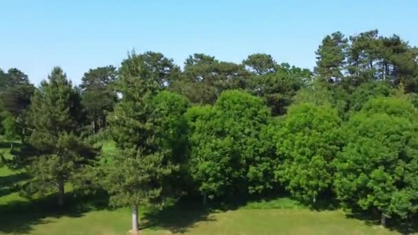 Ngiltere Nin Stockwood Park Luton Şehrinin Hava Görüntüleri Görüntü Nın — Stok video