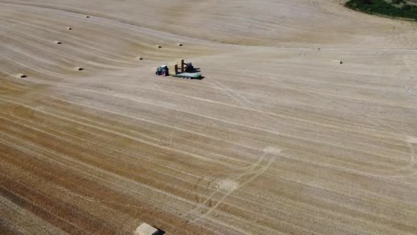 イギリスの農業農場の空中映像とトラクターと機械を組み合わせる作業 彼らは土地から小麦を切断した後ちょっとロードします 2022年8月14日にイギリスのダンスタブルで撮影 — ストック動画