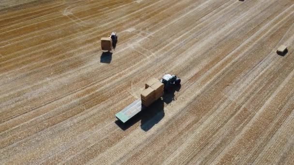 Filmati Aerei Delle Fattorie Agricole Britanniche Della Macchina Combinata Funzionante — Video Stock