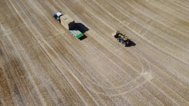 英国农业农场的航拍及拖拉机与拖拉机的组合工作 他们把小麦从地里切了之后装上了嘿 2022年8月14日在英格兰敦布尔道拍摄的空中影像 — 图库视频影像
