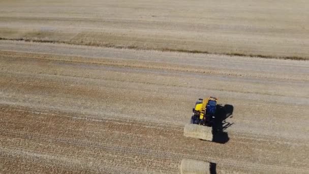 Luftaufnahmen Britischer Landwirtschaftlicher Farmen Und Arbeitsmaschinen Mit Traktor Nach Dem — Stockvideo