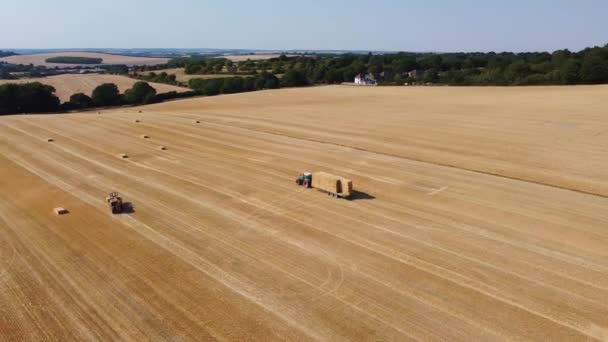 Luchtfoto Van Britse Landbouwbedrijven Werken Combineren Machine Met Tractor Laden — Stockvideo