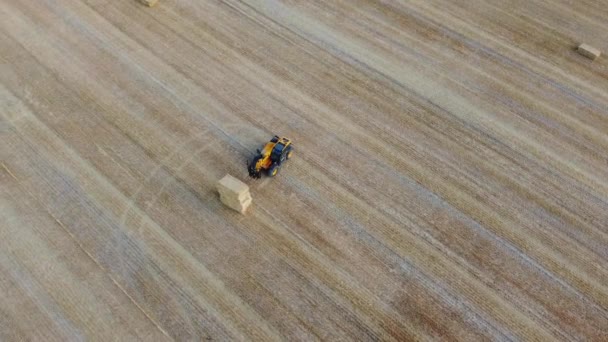 Aerial Footage British Agricultural Farms Working Combine Machine 약자이다 땅에서 — 비디오