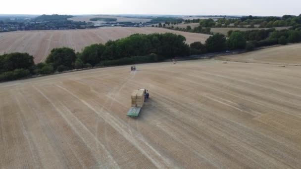 英国农业农场的航拍及拖拉机与拖拉机的组合工作 他们把小麦从地里切了之后装上了嘿 2022年8月14日在英格兰敦布尔道拍摄的空中影像 — 图库视频影像