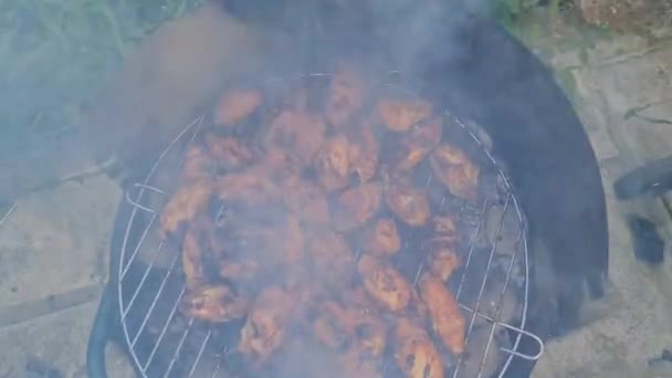 Churrasco Frango Bonito Gostoso Está Cozinhando Grelha Com Carvão Aquecido — Vídeo de Stock