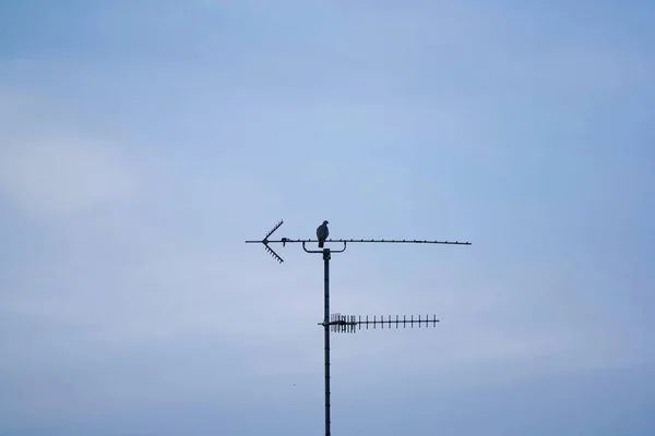 Antenne Sur Toit — Photo