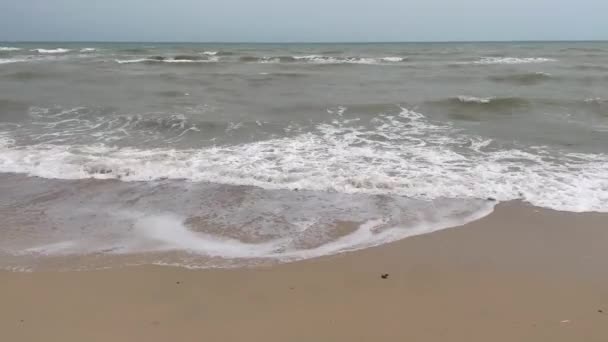 Pláž Moře Kuvajtu — Stock video