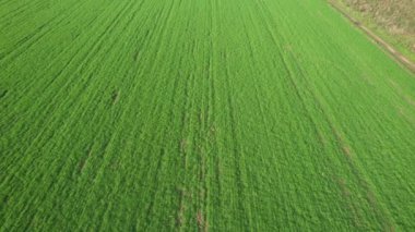 İngiltere 'nin St. Albans kentindeki İngiliz Manzarası ve Kırsal Bölgesi Güzel Hava Görüntüsü